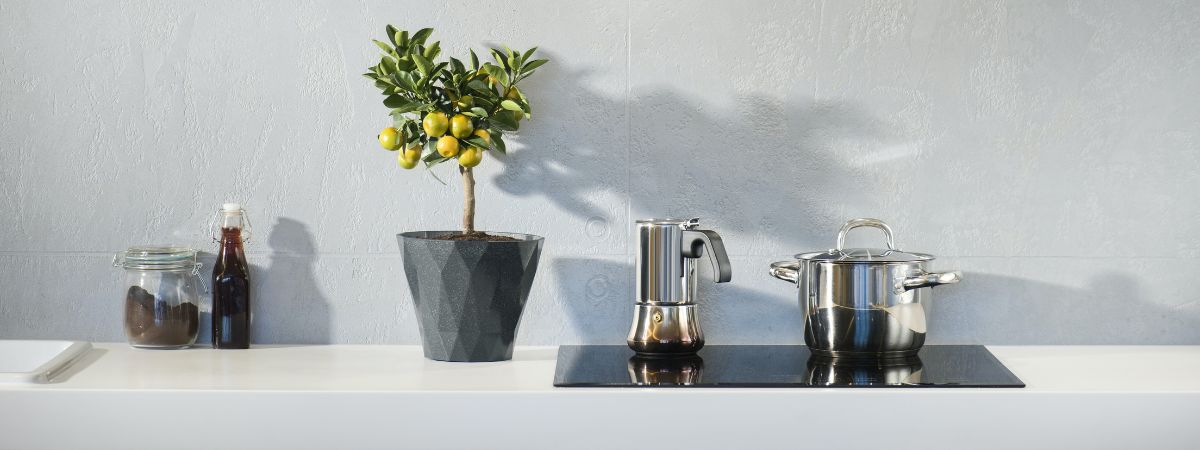 Kitchen items in a home lined up on the counter