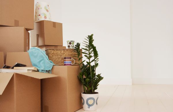 Antisocial tenants evicted after 2 weeks